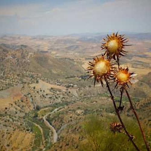 Apartment Layout 3 image 2