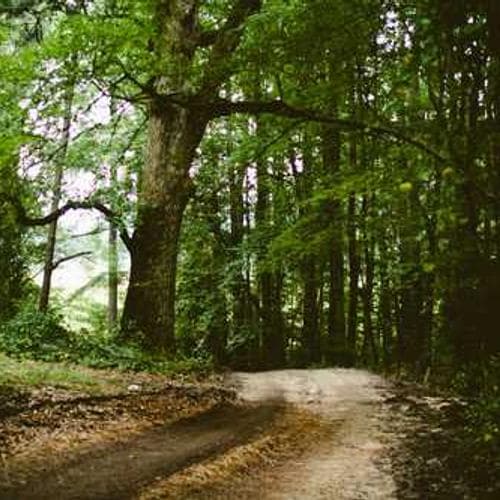 Landscape Plan 19 image 1