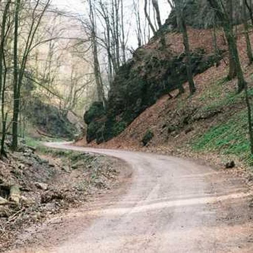 Restaurant Layout 9 image 3