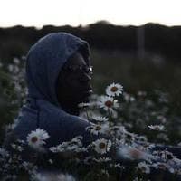 Symbol Library 22 media 1