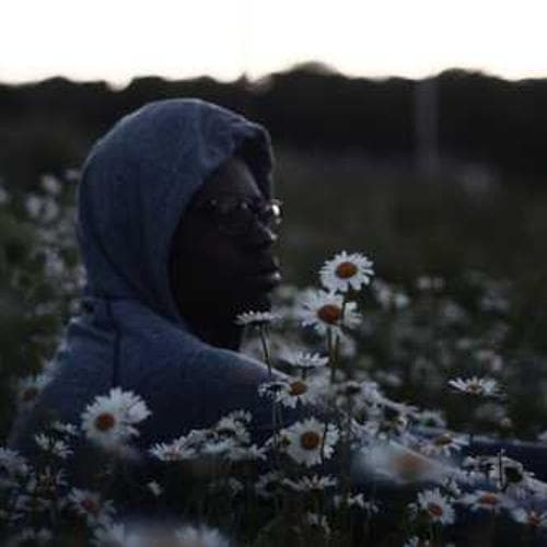 Living Room 22 image 1