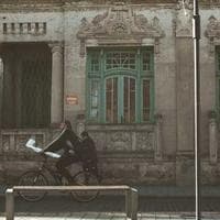 Curve Smoother 24 media 1