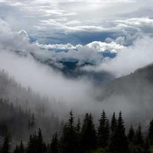 Kitchen Appliances 26