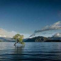 Proportion Calculator 28 media 1