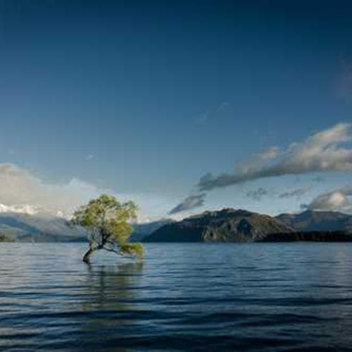 Plumbing Fittings 28 image 1