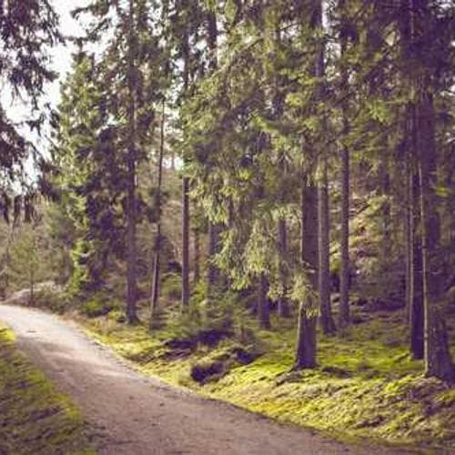 Color Scheme Manager 5 media 1