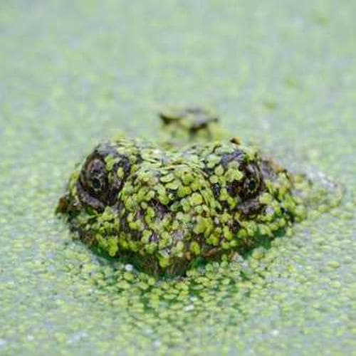 Piping Systems 7 image 3